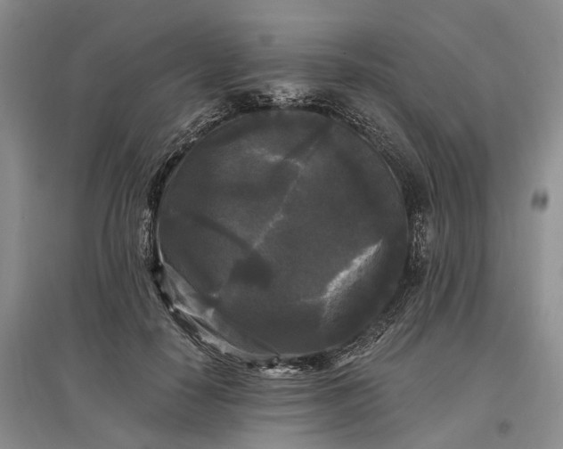 X0000097590650200803141855