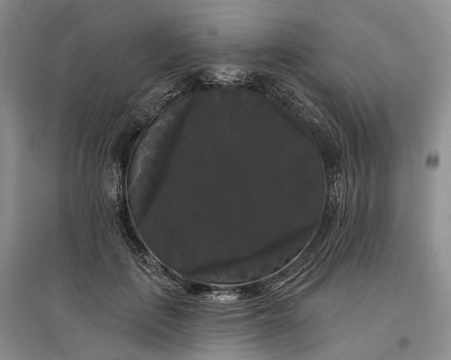 X0000097590651200803141855