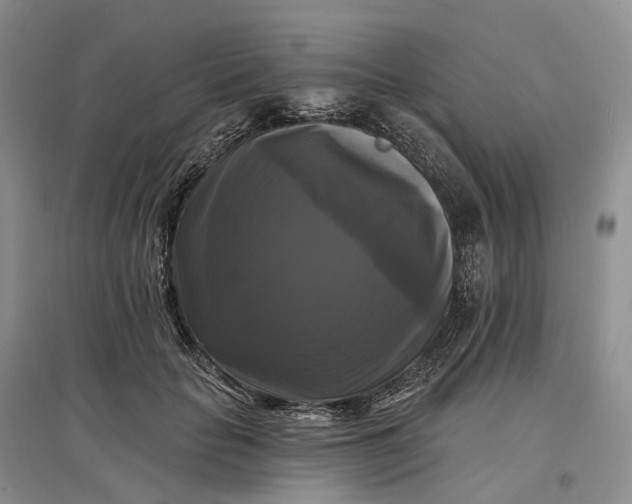 X0000097590653200803141855