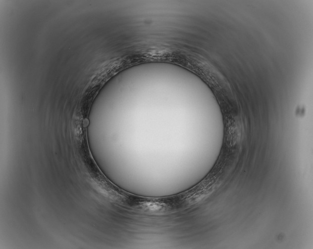 X0000097590654200803141855