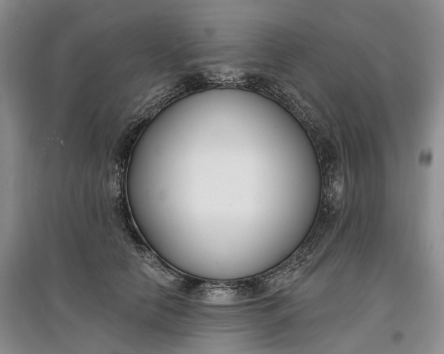 X0000097590658200803141856