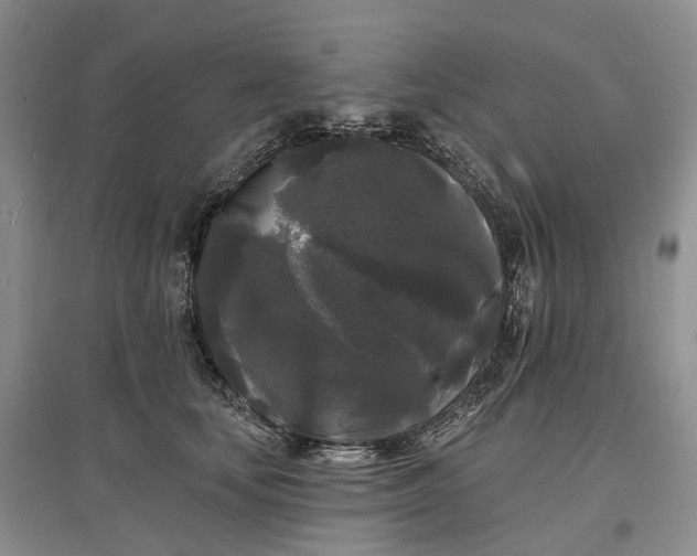 X0000097590659200803141856