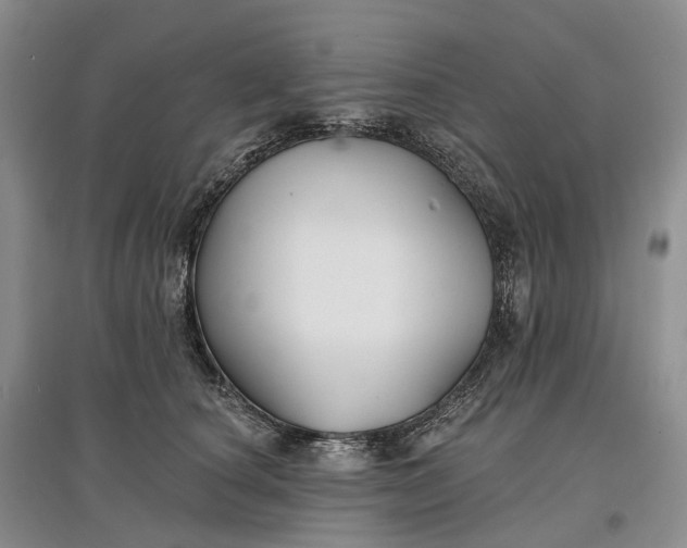 X0000097590660200803141856