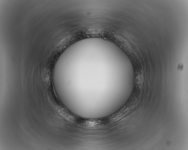 X0000097590662200803141856