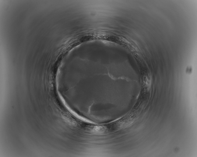 X0000097590663200803141856