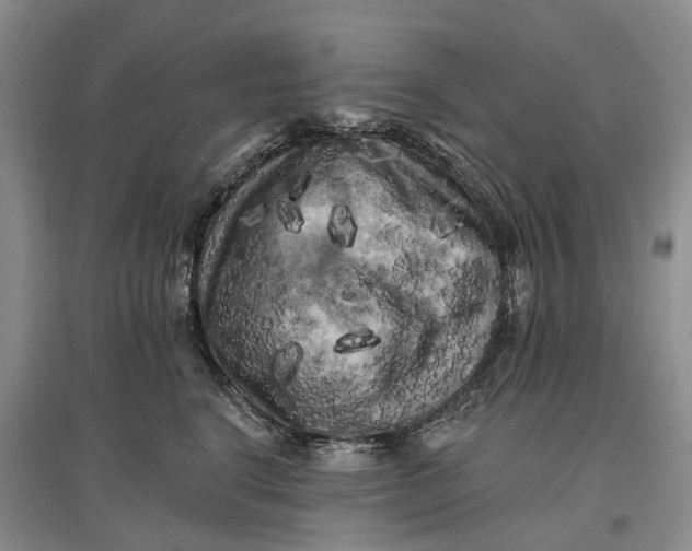 X0000097590664200803141856