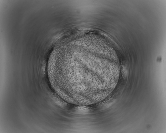 X0000097590668200803141856