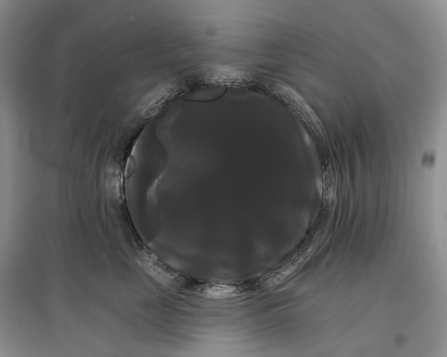 X0000097590669200803141856