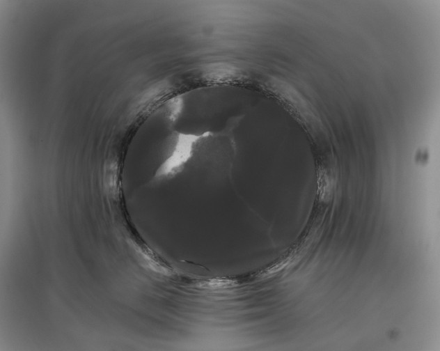 X0000097590670200803141856