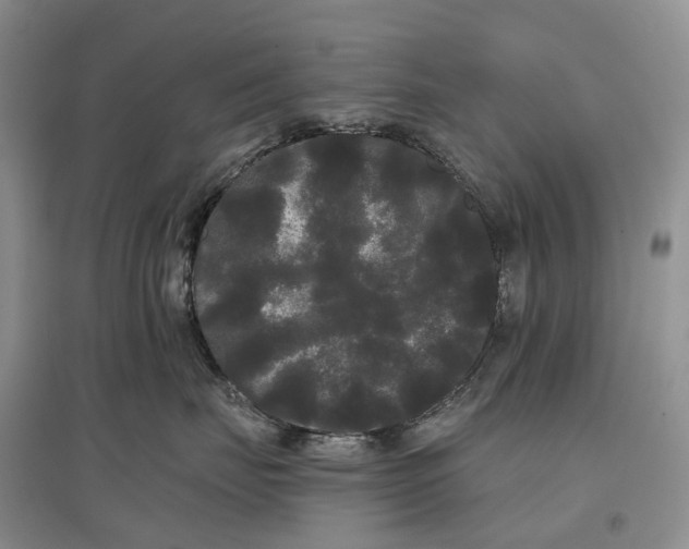 X0000097590671200803141856