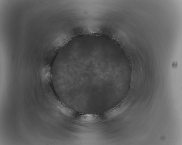 X0000097590672200803141856