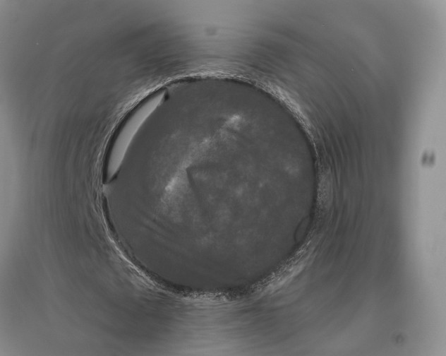 X0000097590673200803141855