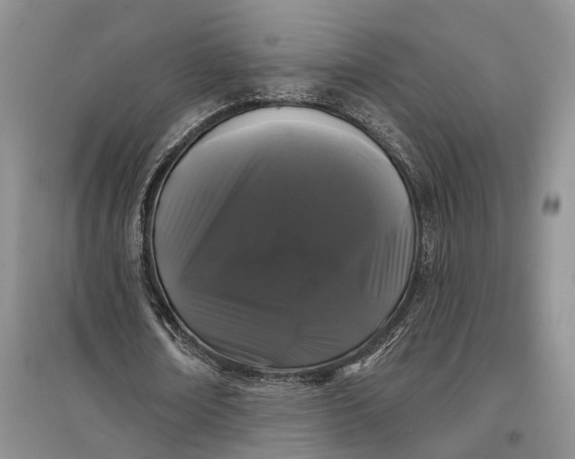 X0000097590674200803141855