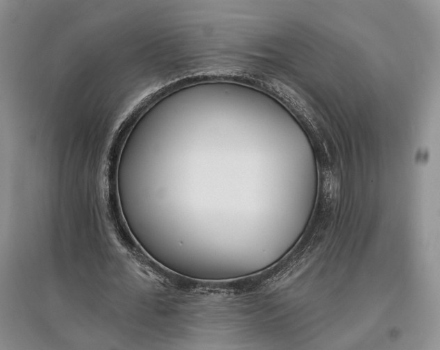 X0000097590676200803141855