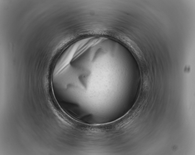 X0000097590677200803141855