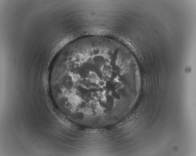 X0000097590679200803141855