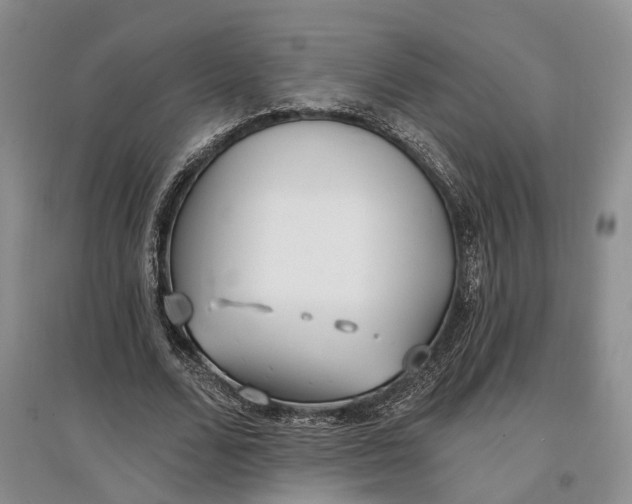 X0000097590680200803141855