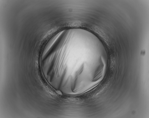 X0000097590681200803141855