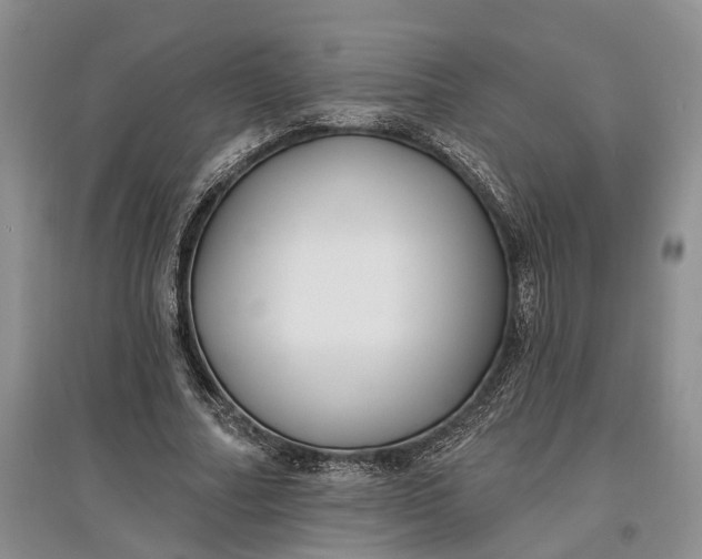 X0000097590682200803141855