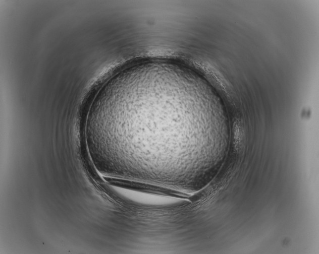 X0000097590684200803141855