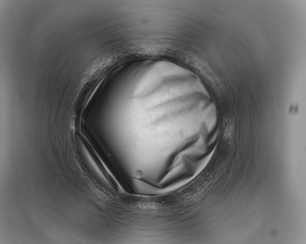 X0000097590685200803141855