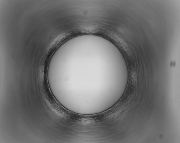 X0000097590686200803141855