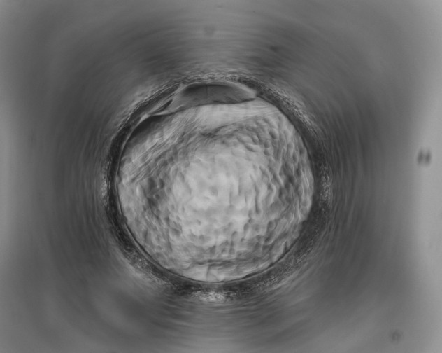 X0000097590687200803141855