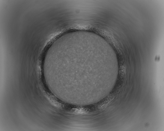 X0000097590688200803141855