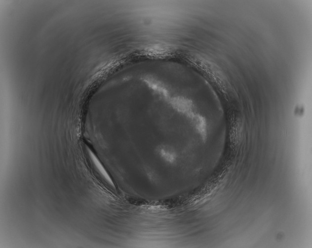 X0000097590689200803141855