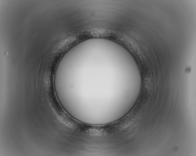 X0000097590690200803141855