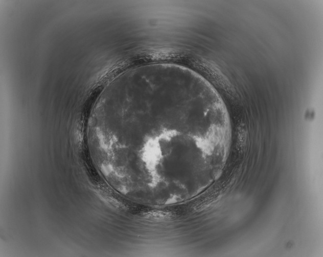 X0000097590691200803141855