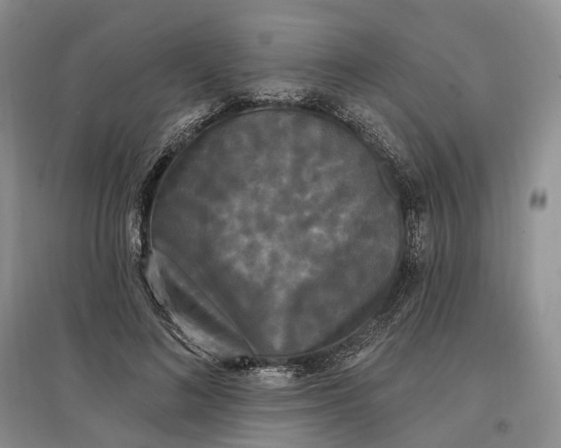 X0000097590692200803141855