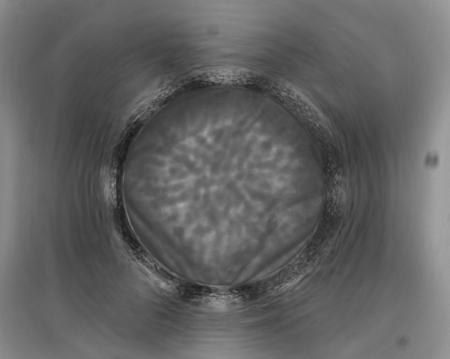 X0000097590696200803141855