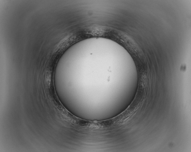 X0000097590697200803141855