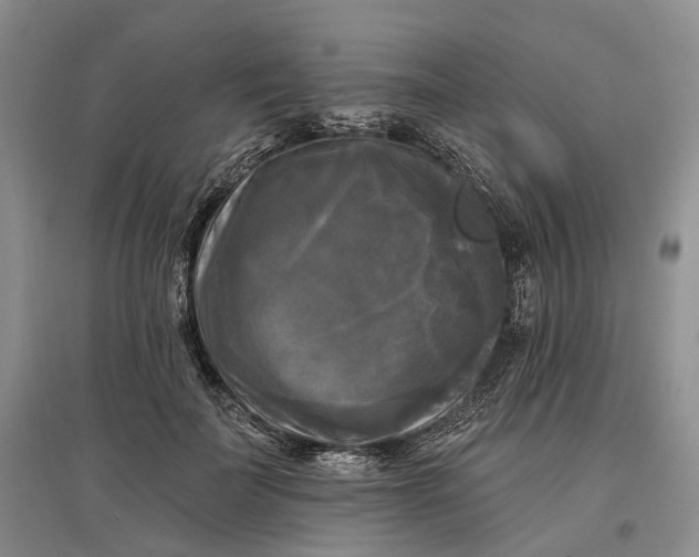 X0000097590699200803141855