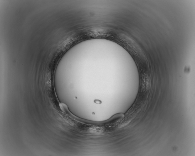 X0000097590700200803141855