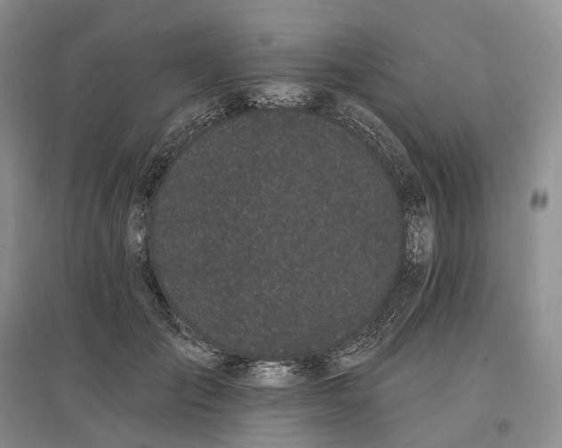 X0000097590701200803141855