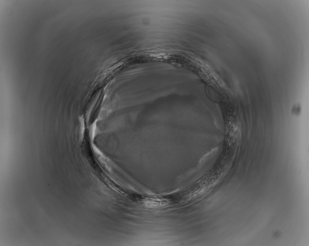 X0000097590707200803141855