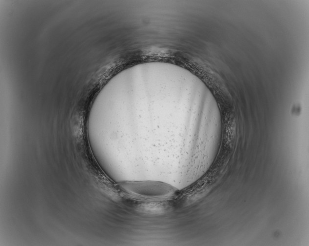 X0000097590708200803141855