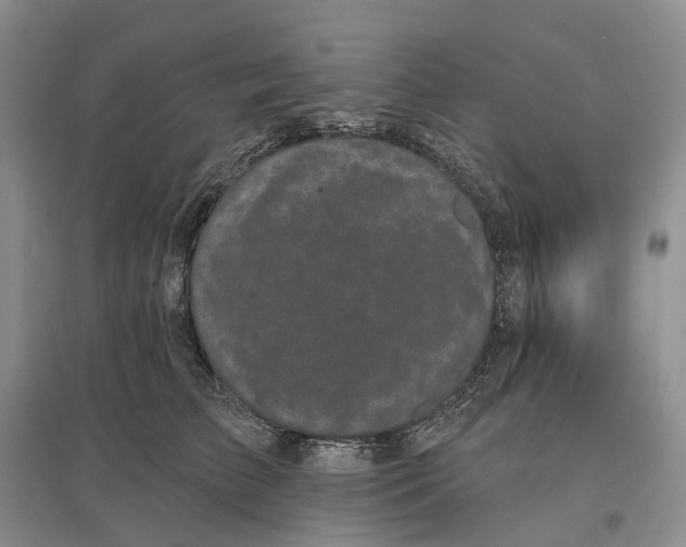 X0000097590709200803141855