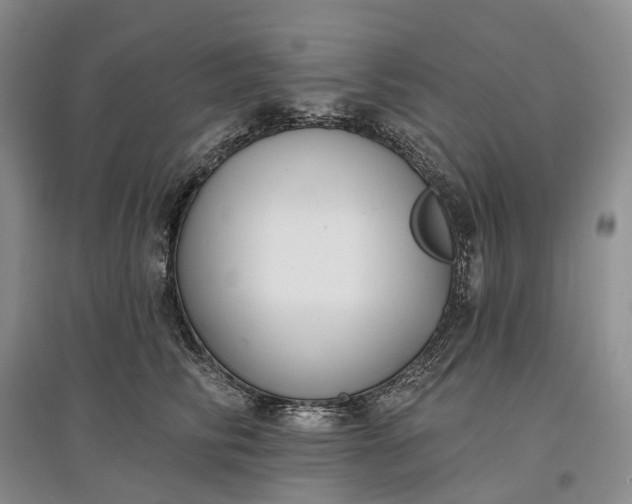 X0000097590710200803141855