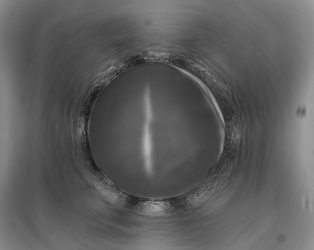 X0000097590711200803141855