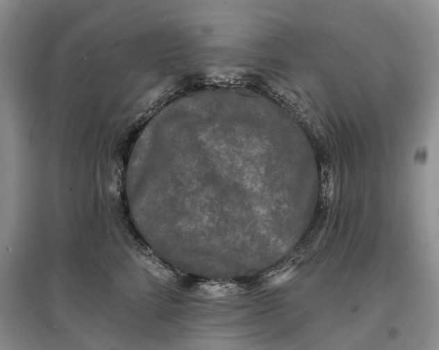 X0000097590712200803141855