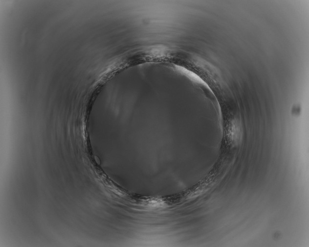 X0000097590715200803141854