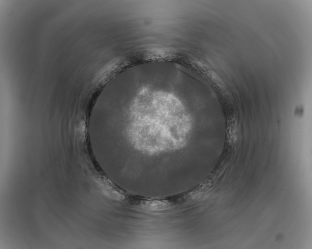 X0000097590716200803141854