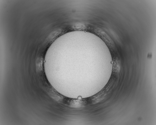 X0000097590717200803141854