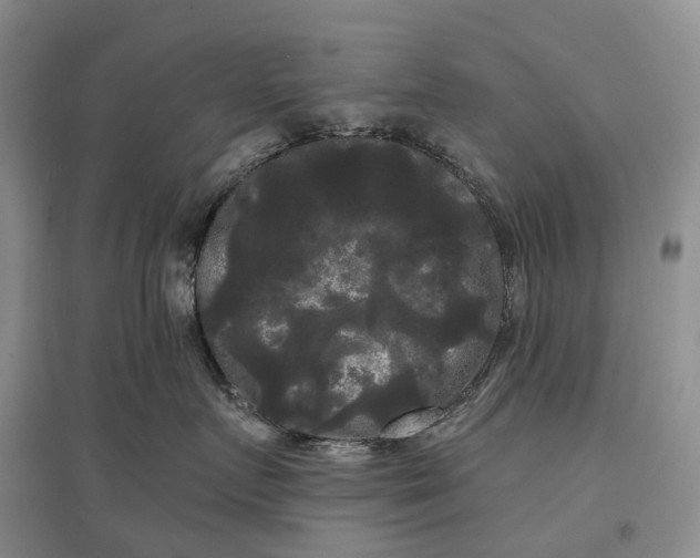 X0000097590719200803141854