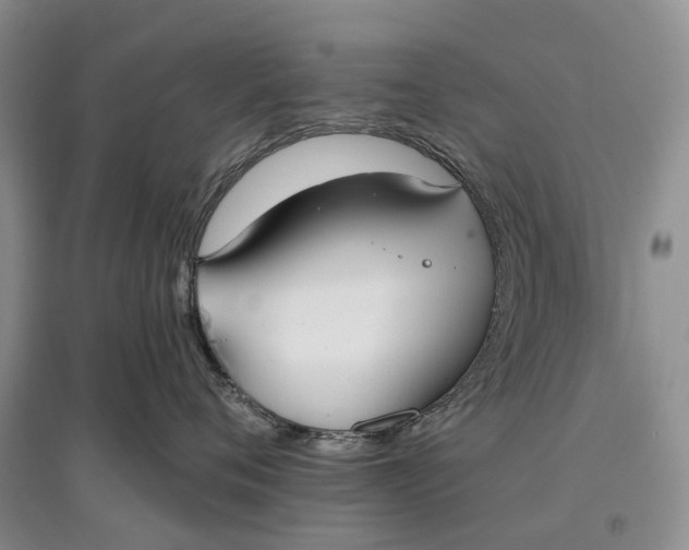 X0000097590720200803141854