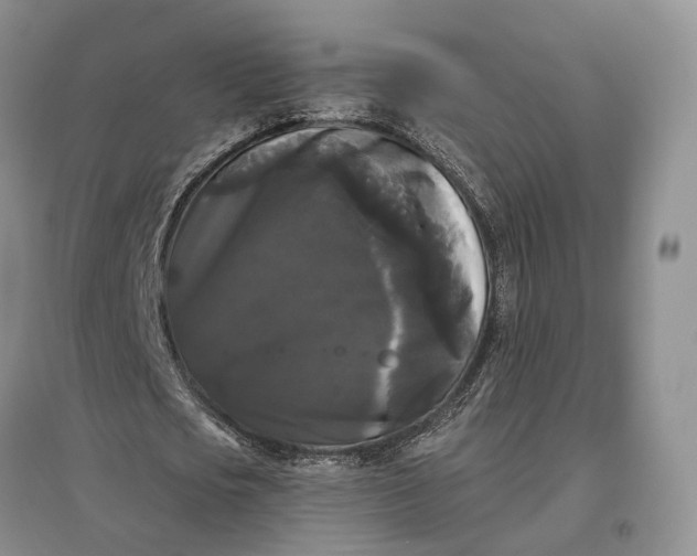 X0000097590721200803141854