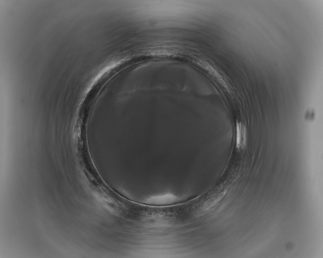 X0000097590723200803141854